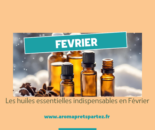 Aromathérapie en Février : Les Huiles Essentielles Indispensables à Avoir Chez Soi