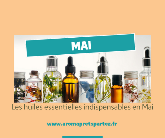 Aromathérapie en Mai : Les huiles essentielles pour un Printemps épanoui