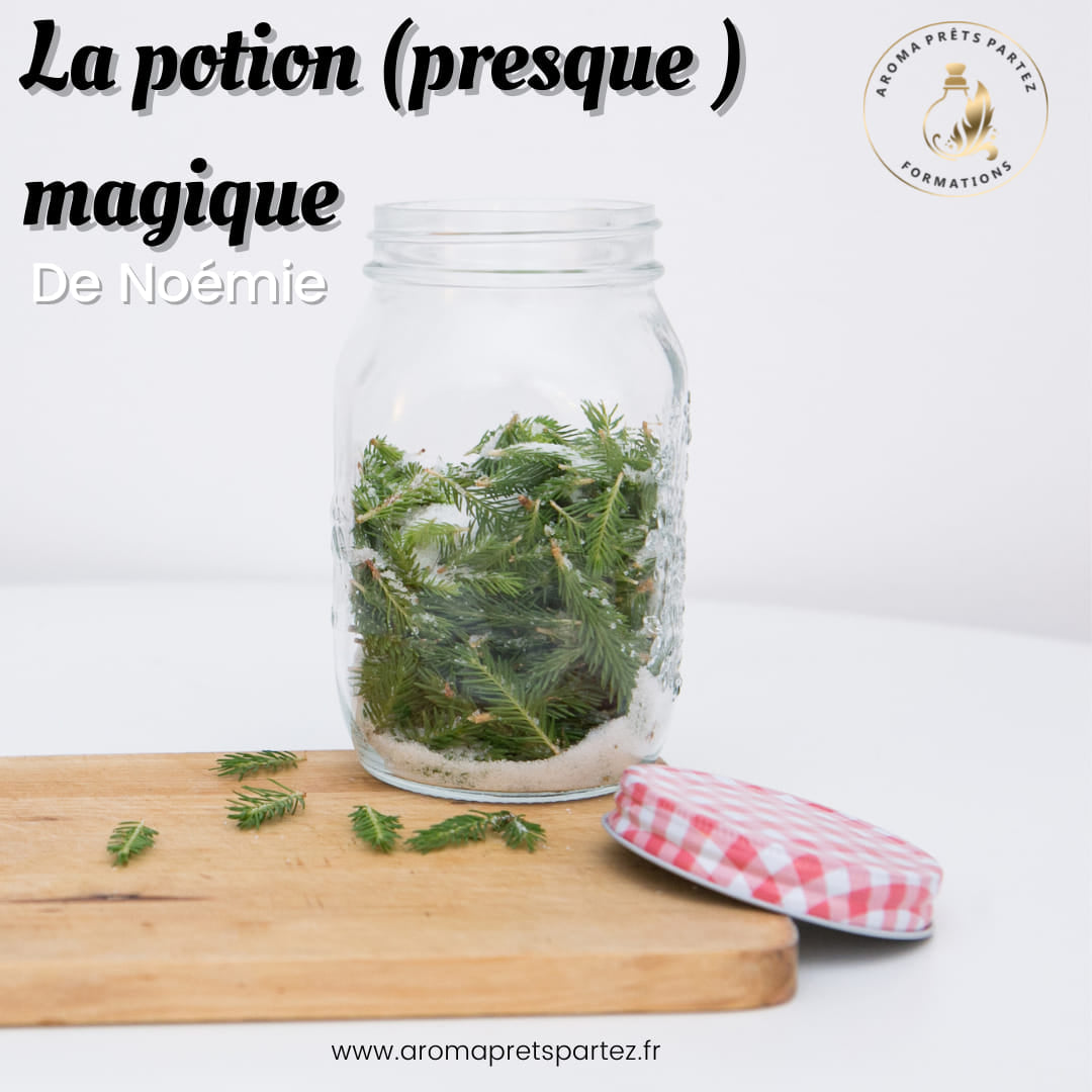 Ne jetez pas votre sapin ! Ma potion (presque) magique