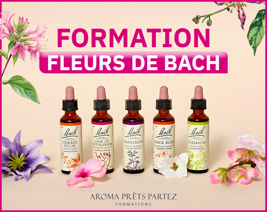 Formation - FLEURS DE BACH ET AROMATHÉRAPIE