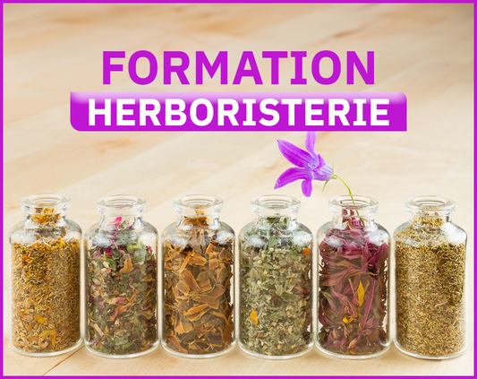 Formation - HERBORISTERIE / CUEILLEUR