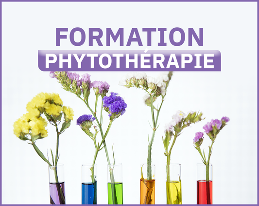 Formation - PHYTOTHÉRAPIE