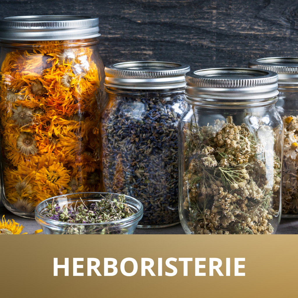 🌿 Herboristerie / Cueilleur -   Voyage Émotionnel dans le Monde des Plantes 🌿

